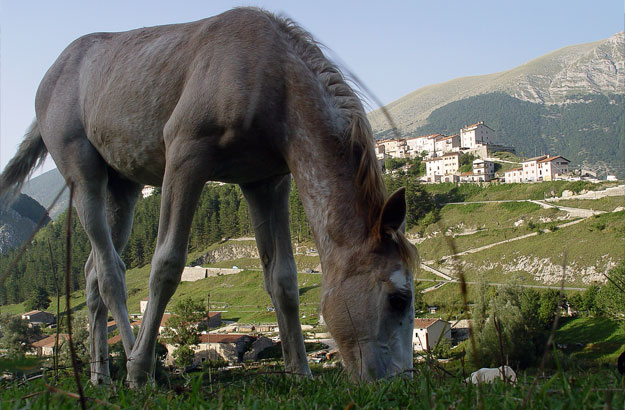 Opi - Parco Nazionale d'Abruzzo,Lazio e Molise, L'Aquila